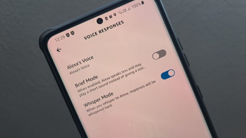 Alexa Brief Mode screen
