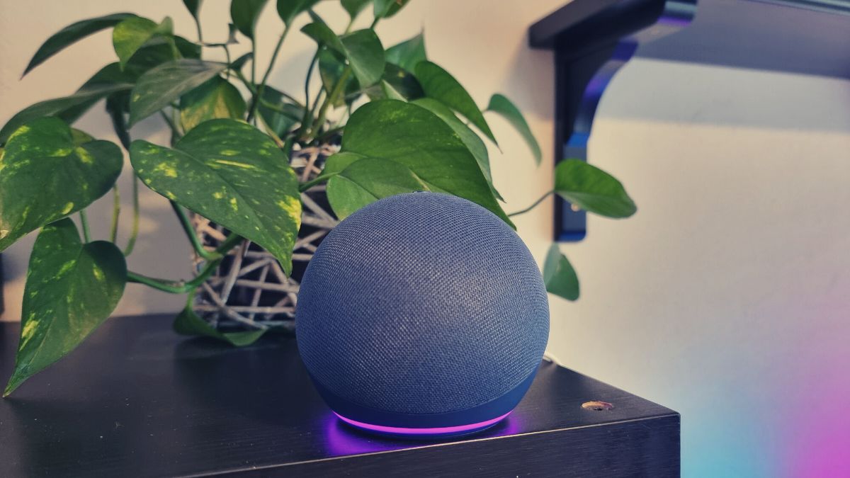 Alexa Echo 5th Gen 3