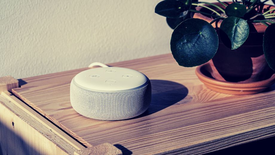 alexa not responding 1