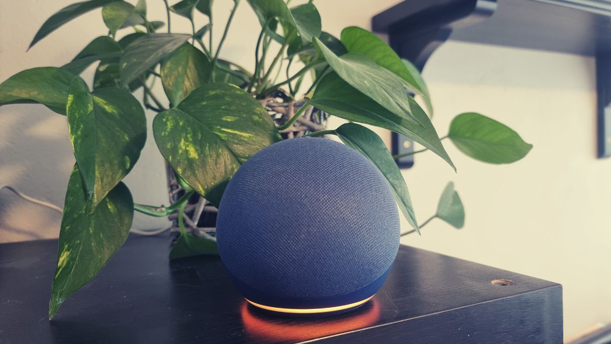Alexa Orange Ring 2