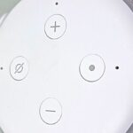Alexa vs Echo