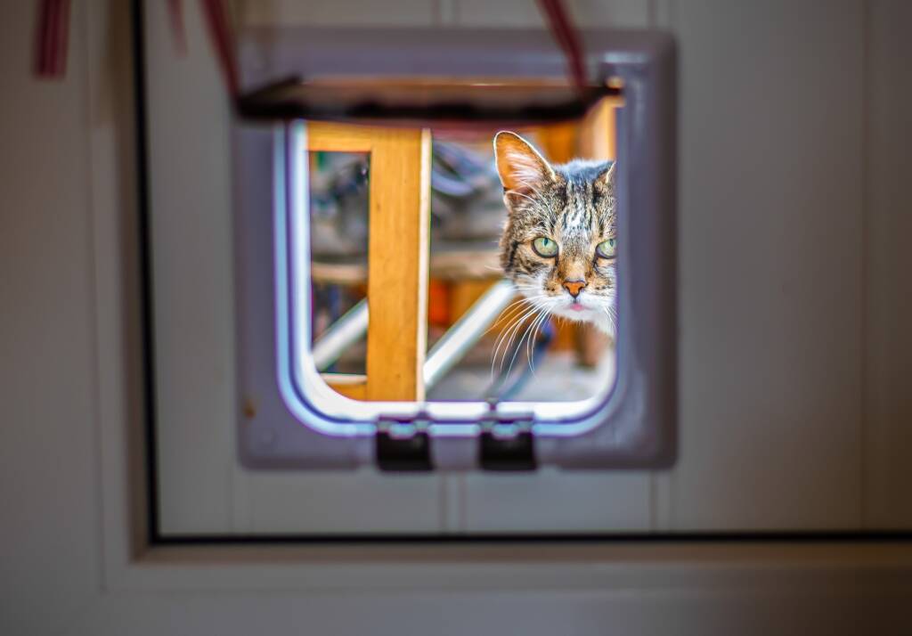 Microchip Cat Flap