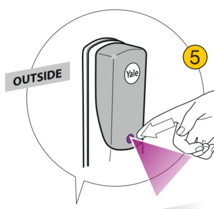 Conexis Purple Button