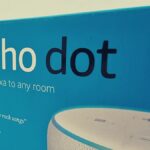 Echo Dot Box