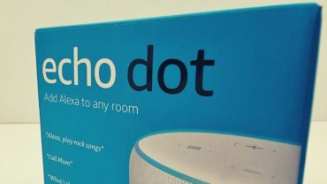 Echo Dot Box