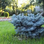 landscape design 961676 1280