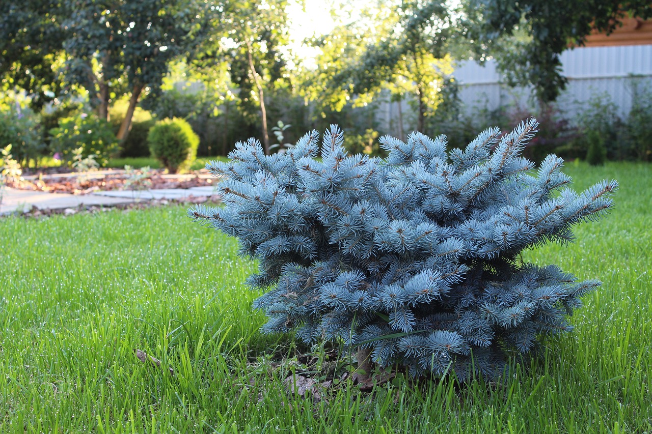 landscape design 961676 1280