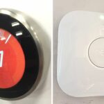 Nest