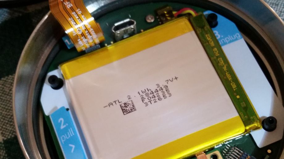 Nest Battery