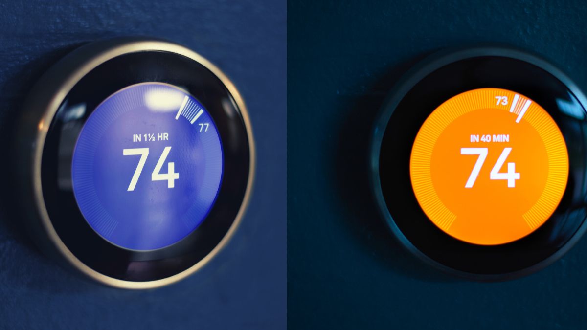 Nest Cool Hot