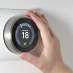 Nest Europe