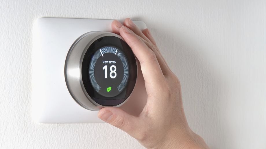 Nest Europe