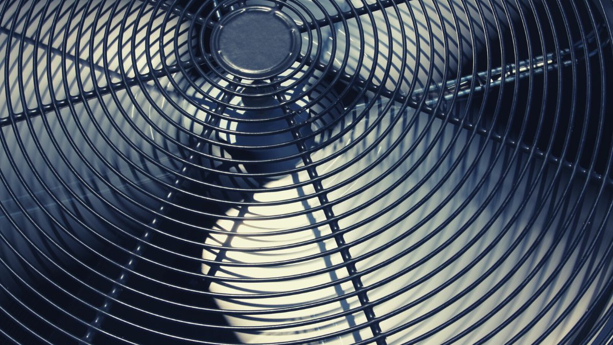 Nest Fan