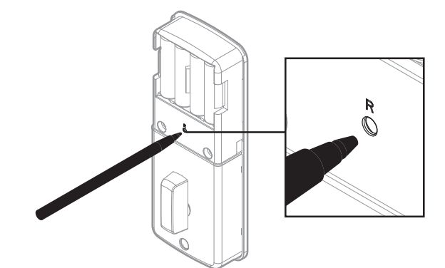 Powerbolt 2 Battery