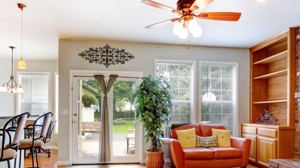 Smart Ceiling Fan