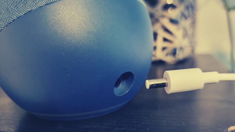 Alexa device plug